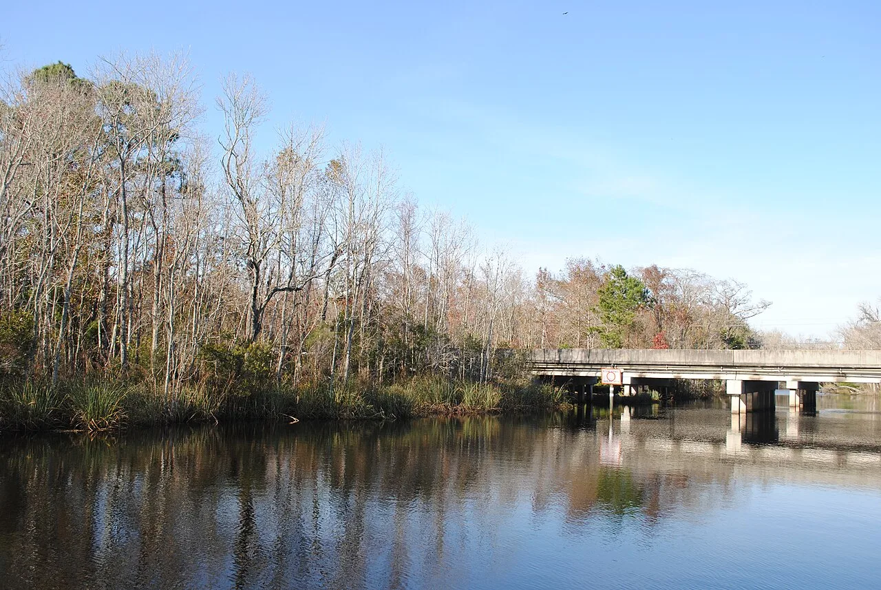 Trees reflected in a Nassau River tributary beside a small bridge in Yulee, Florida